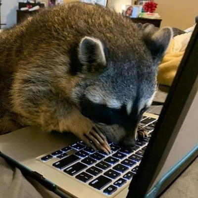 anominominominous@polyglot.city